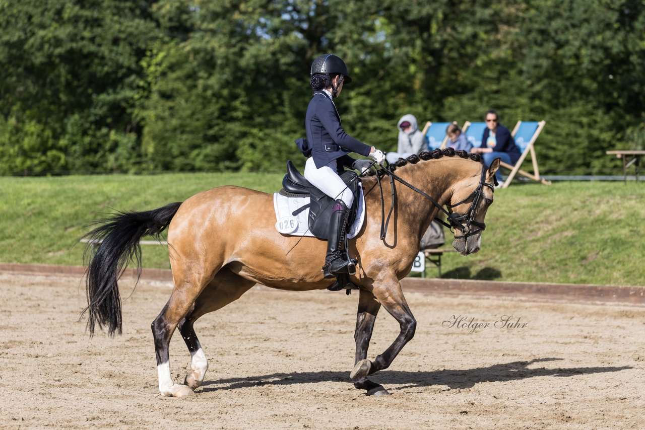 Bild 494 - Pony Akademie Turnier